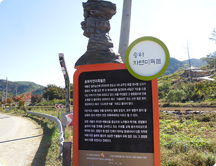송하 자연미륵불 안내문