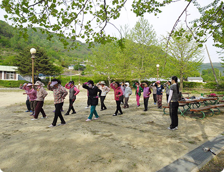 체조