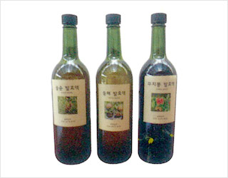 발효액