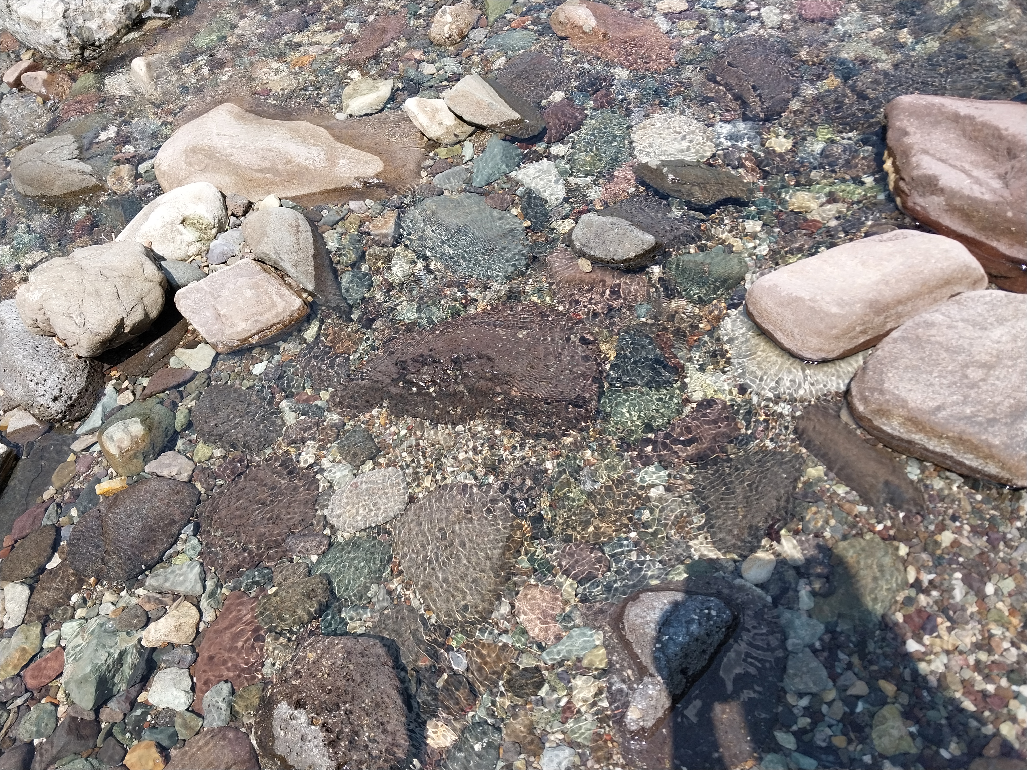 20240616_140150.jpg