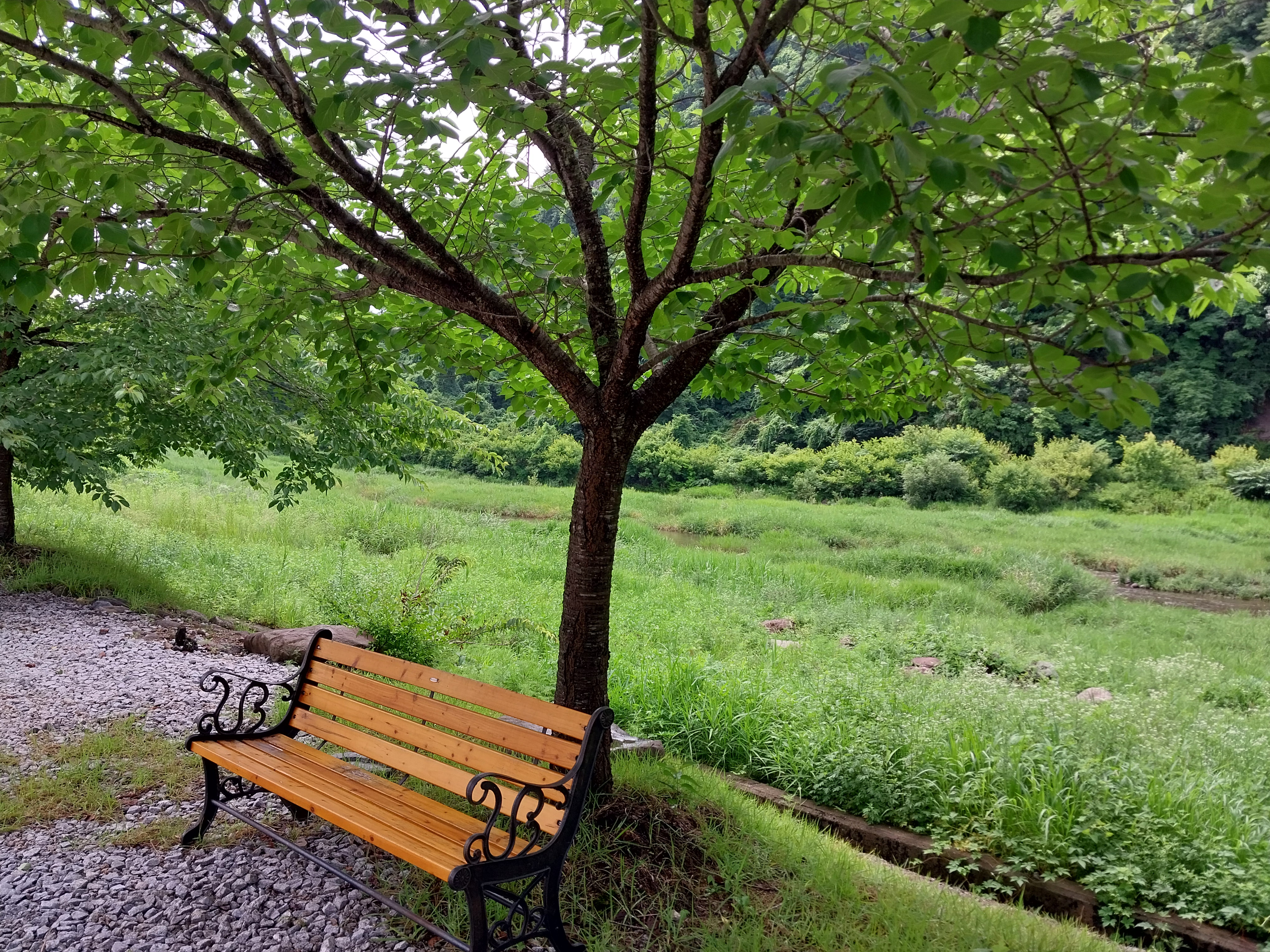 20240703_102633.jpg