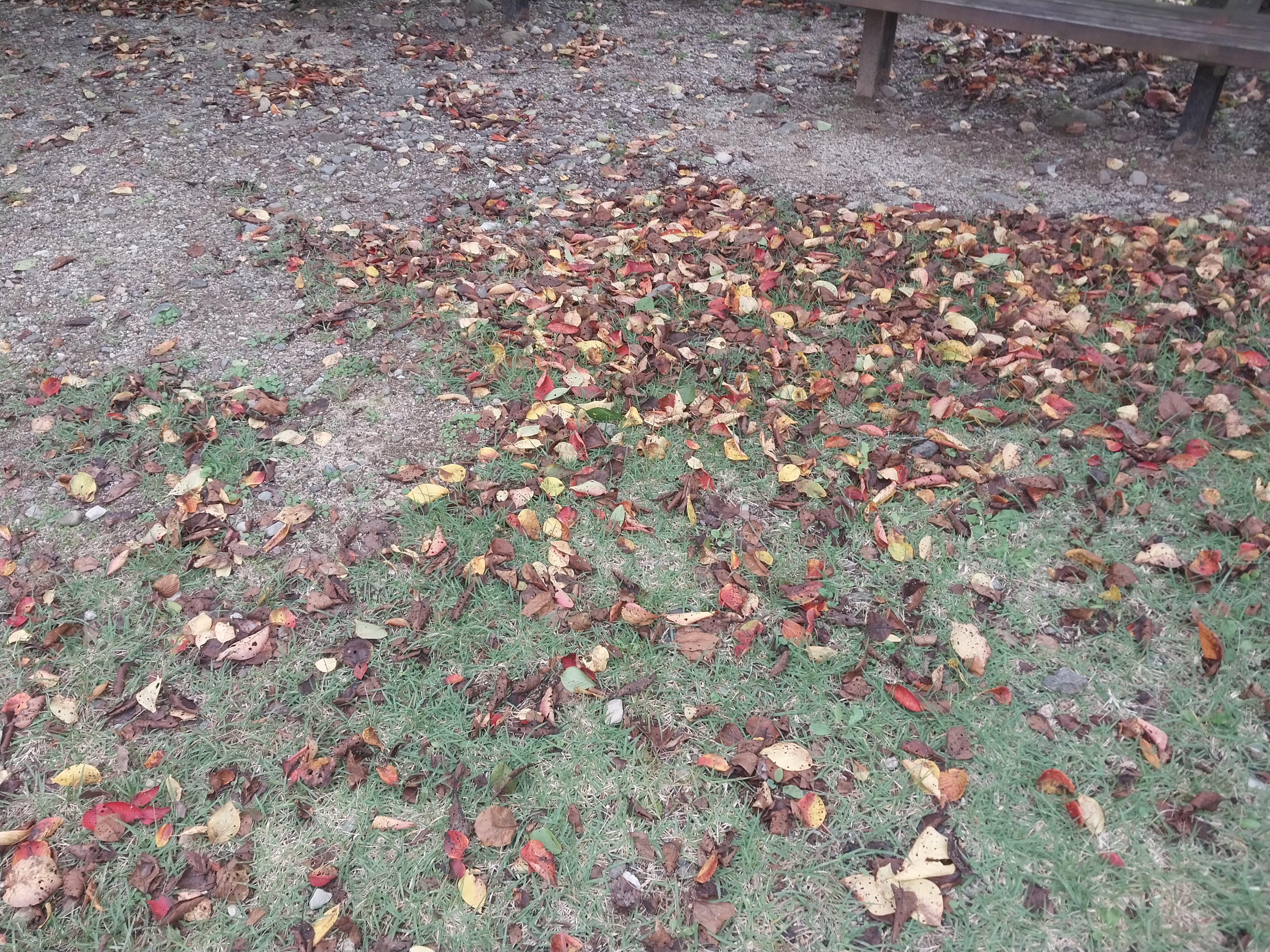 20241020_093216.jpg