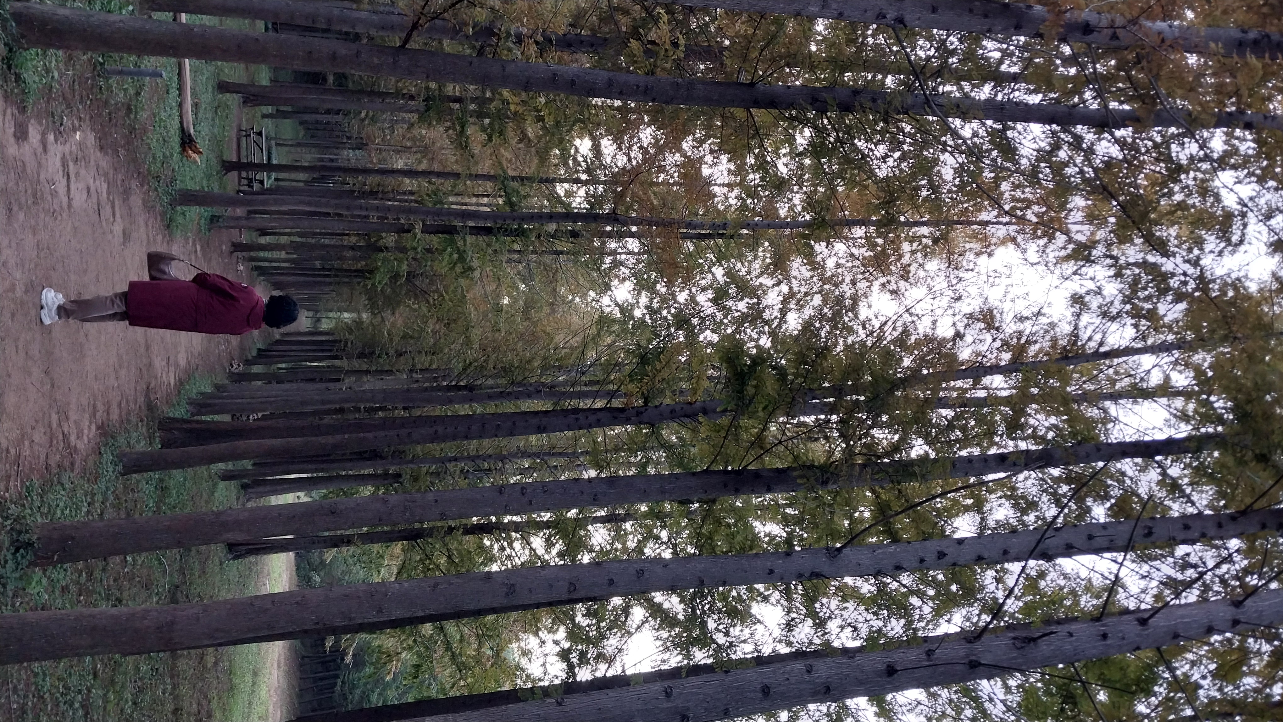 20241030_165255.jpg