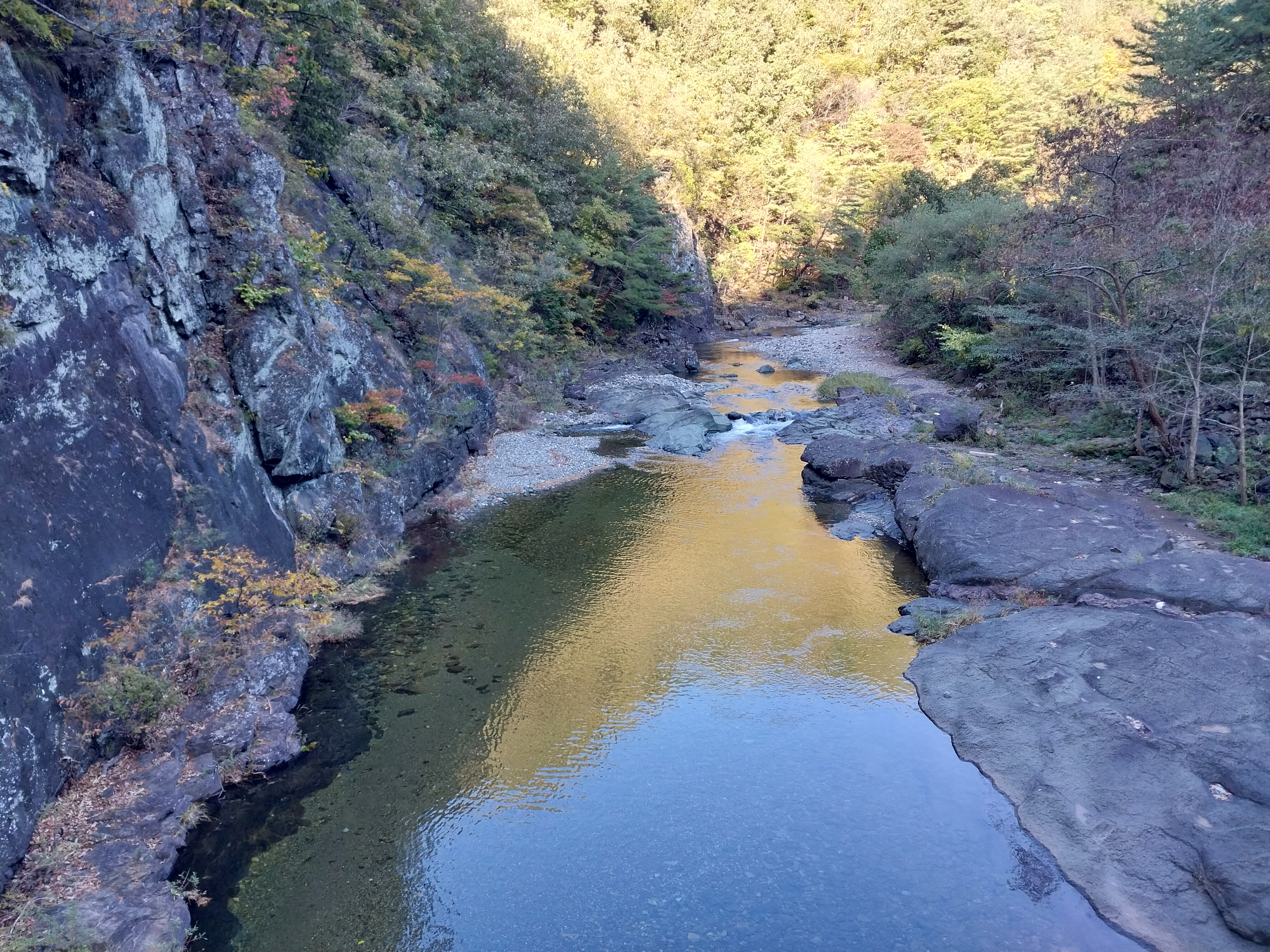 20241024_150159.jpg