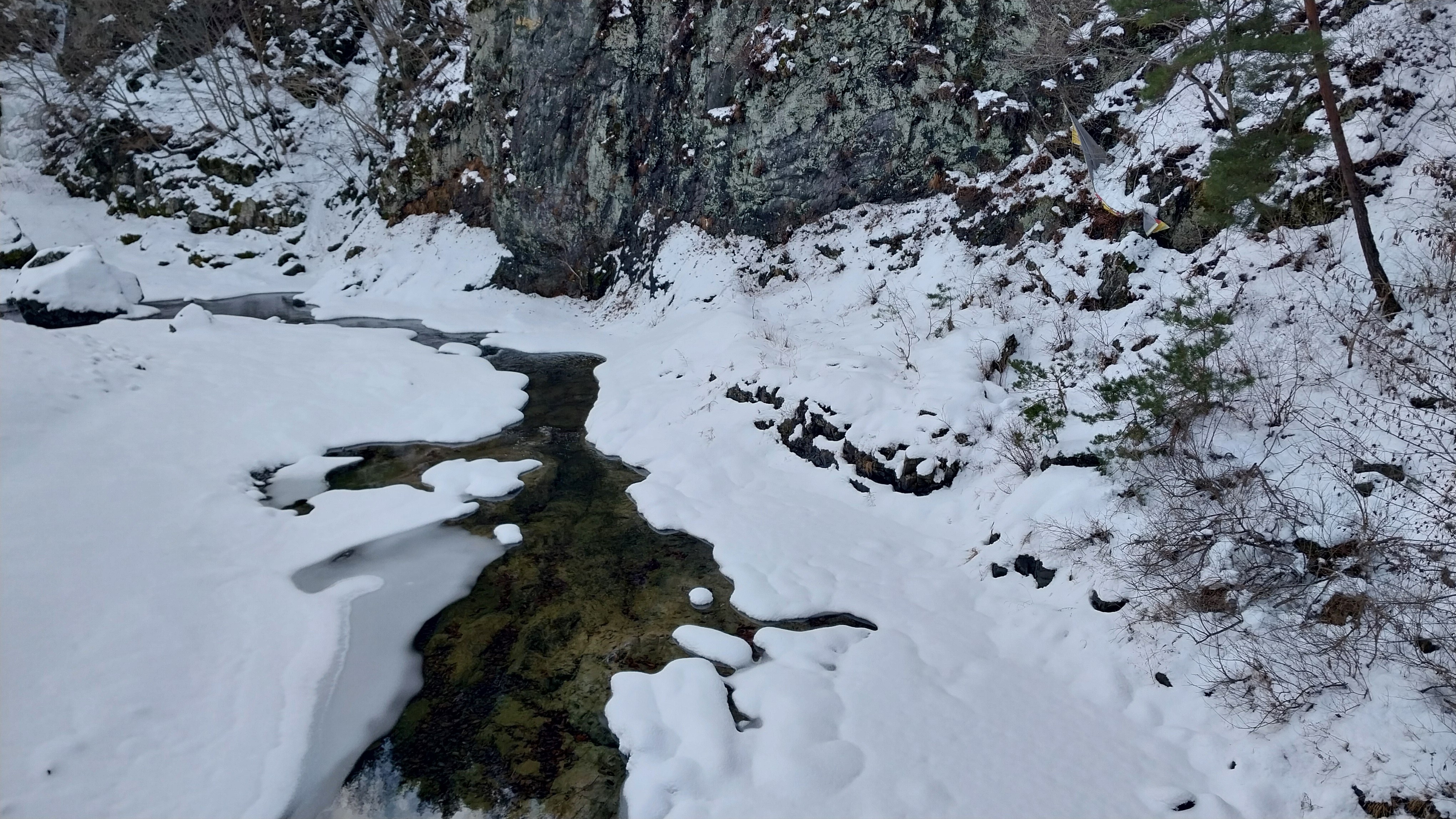 20250306_105846.jpg