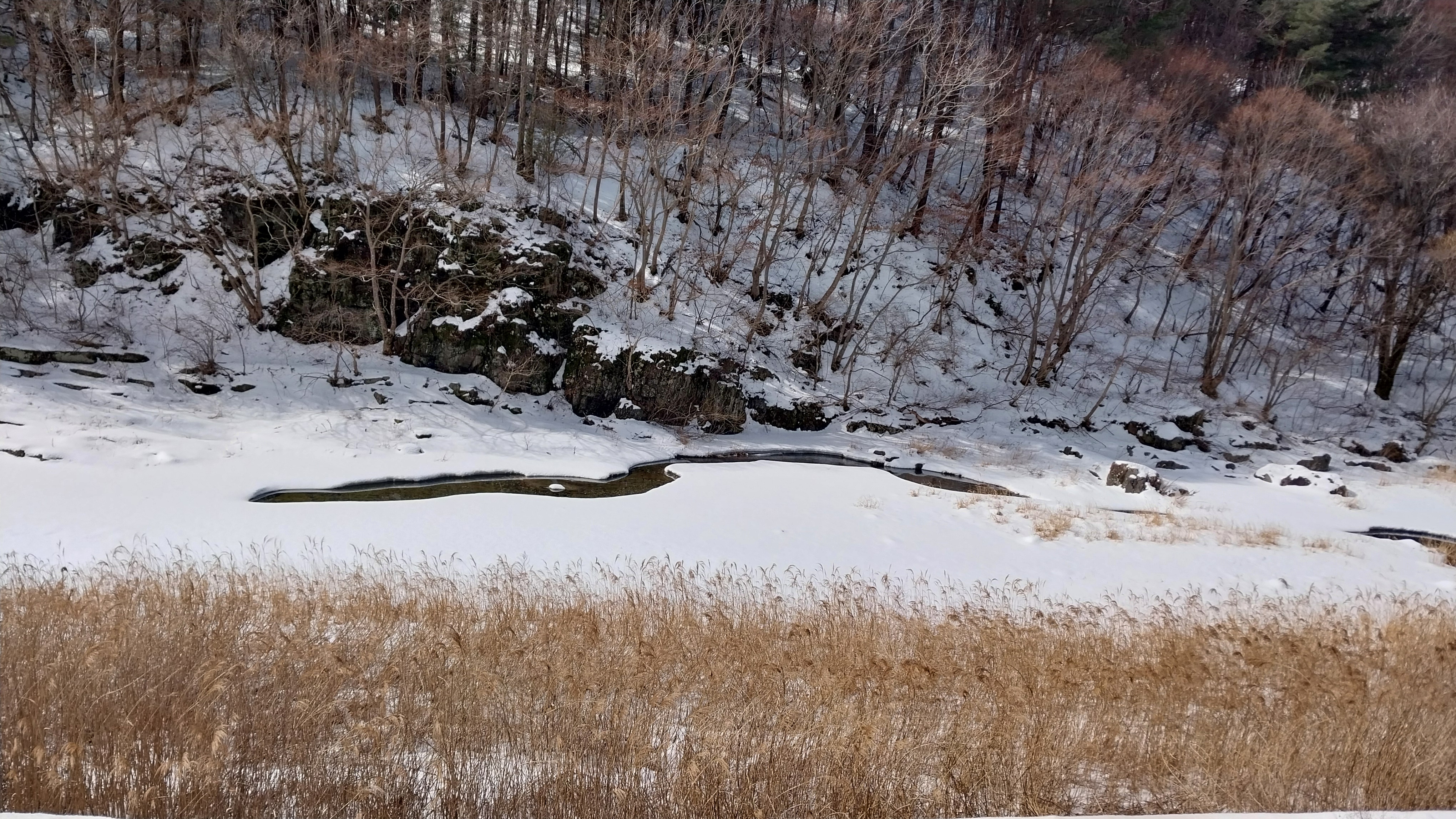 20250306_110438.jpg