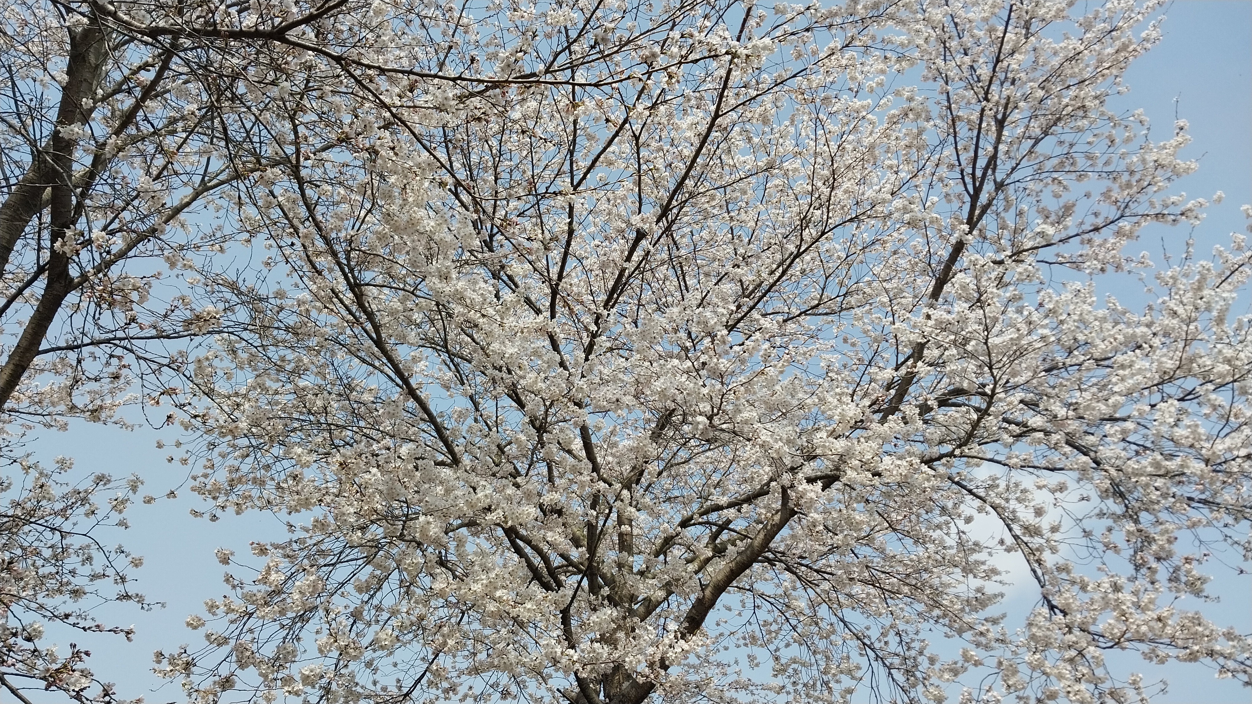 20250417_103811.jpg