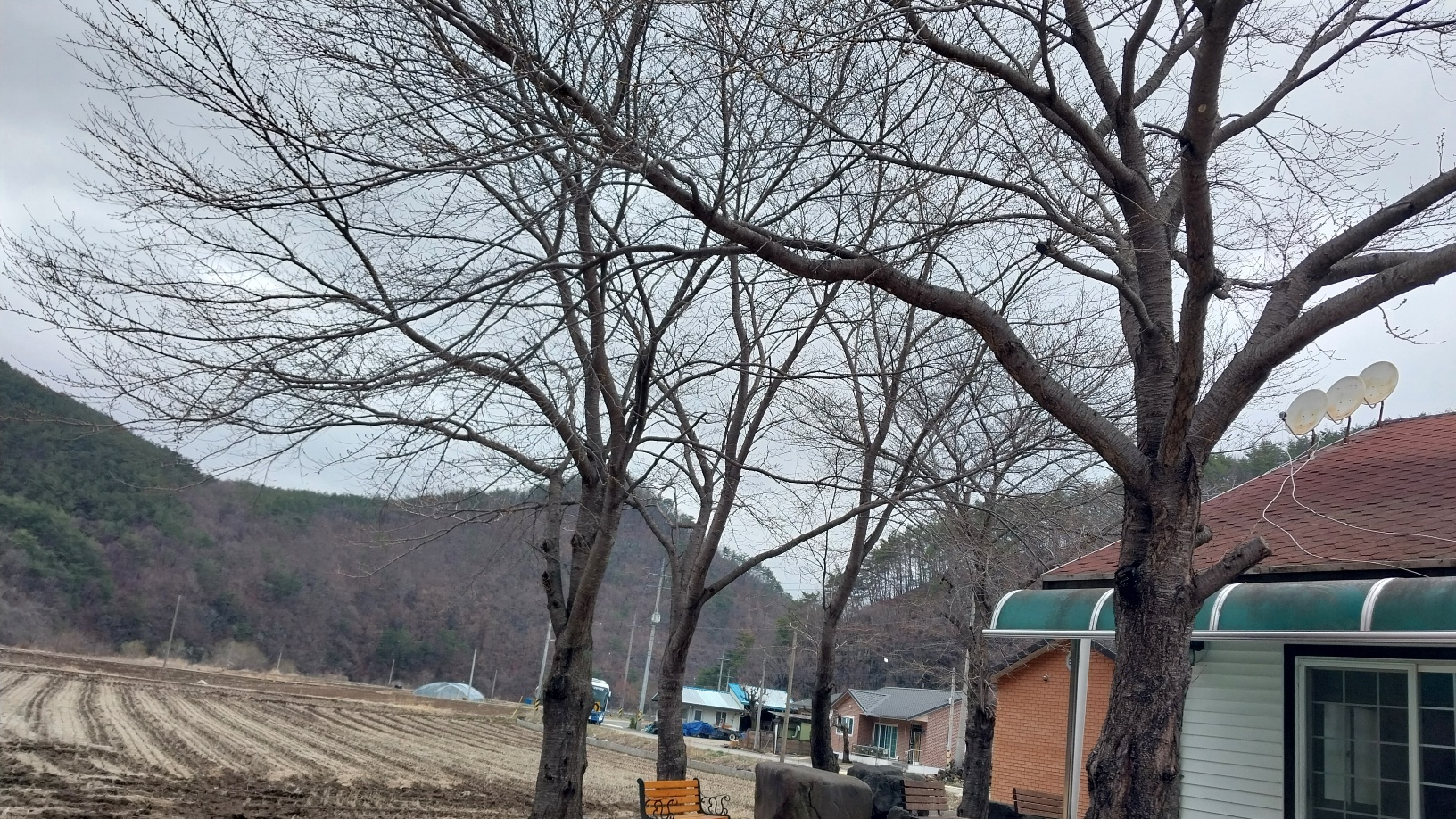사진7