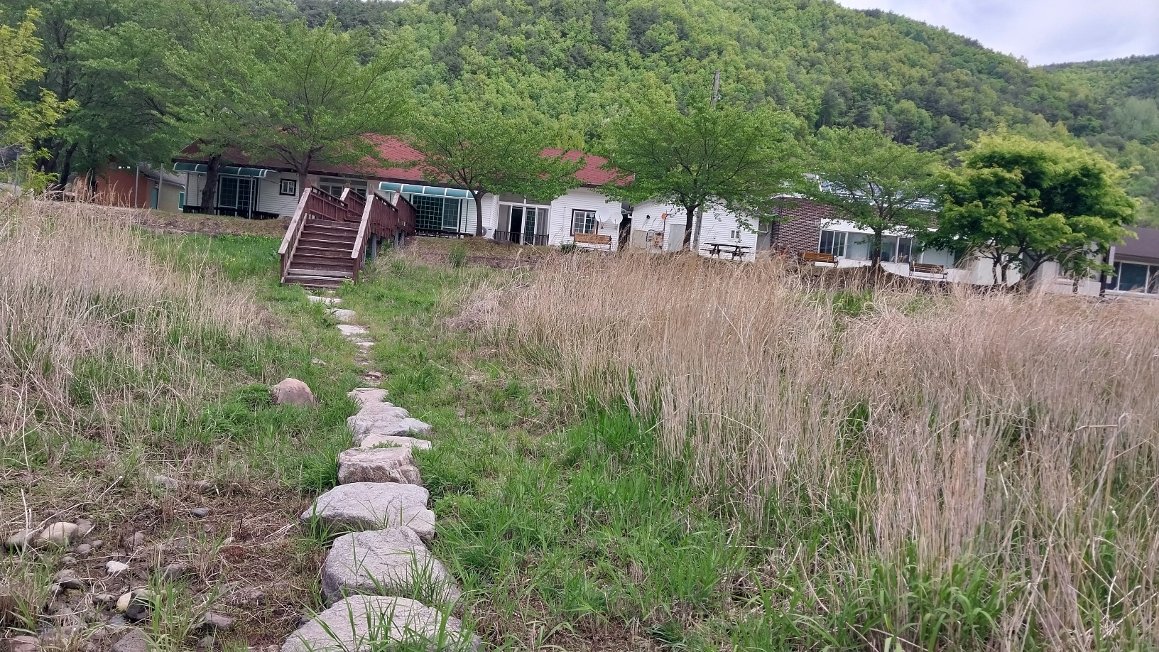 사진1