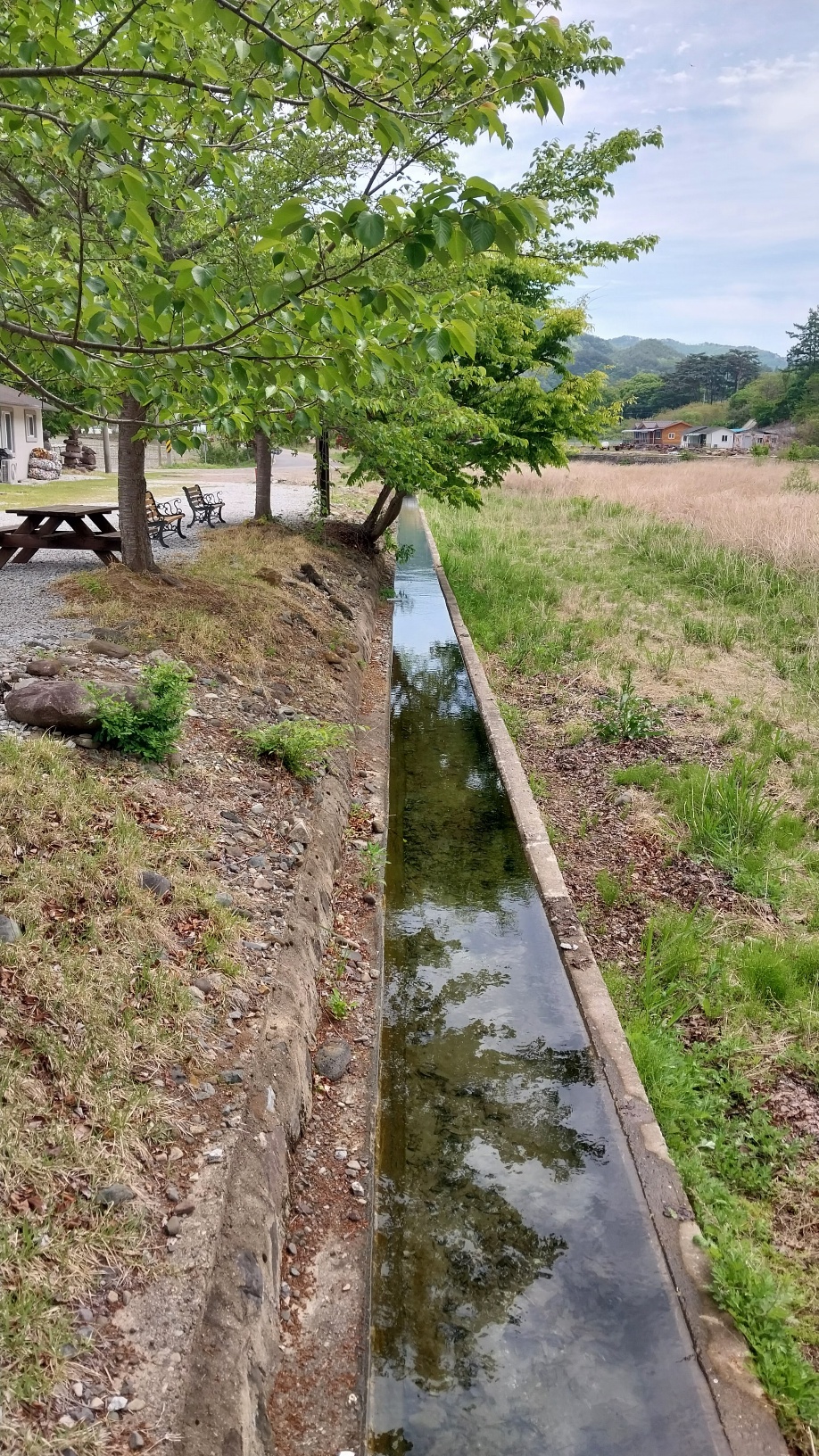 사진5