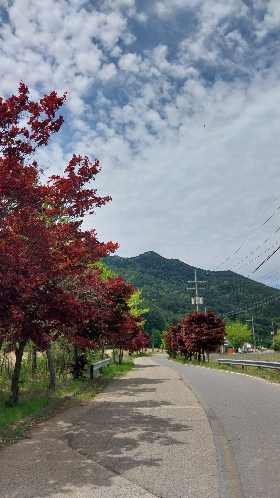 사진1