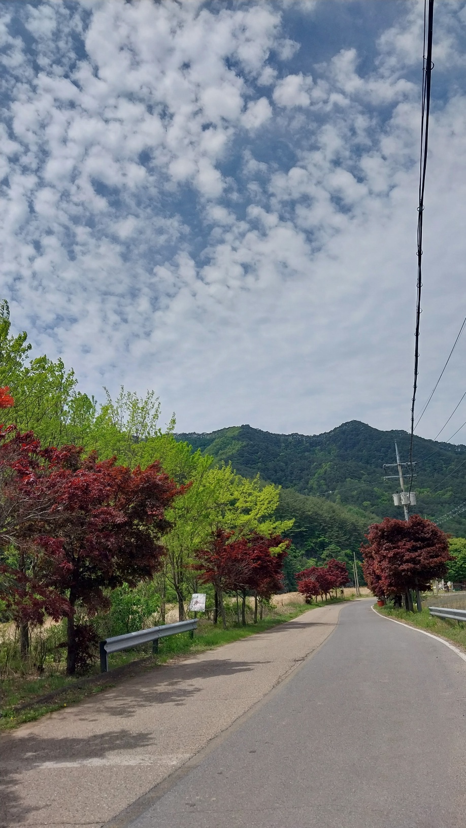 사진2