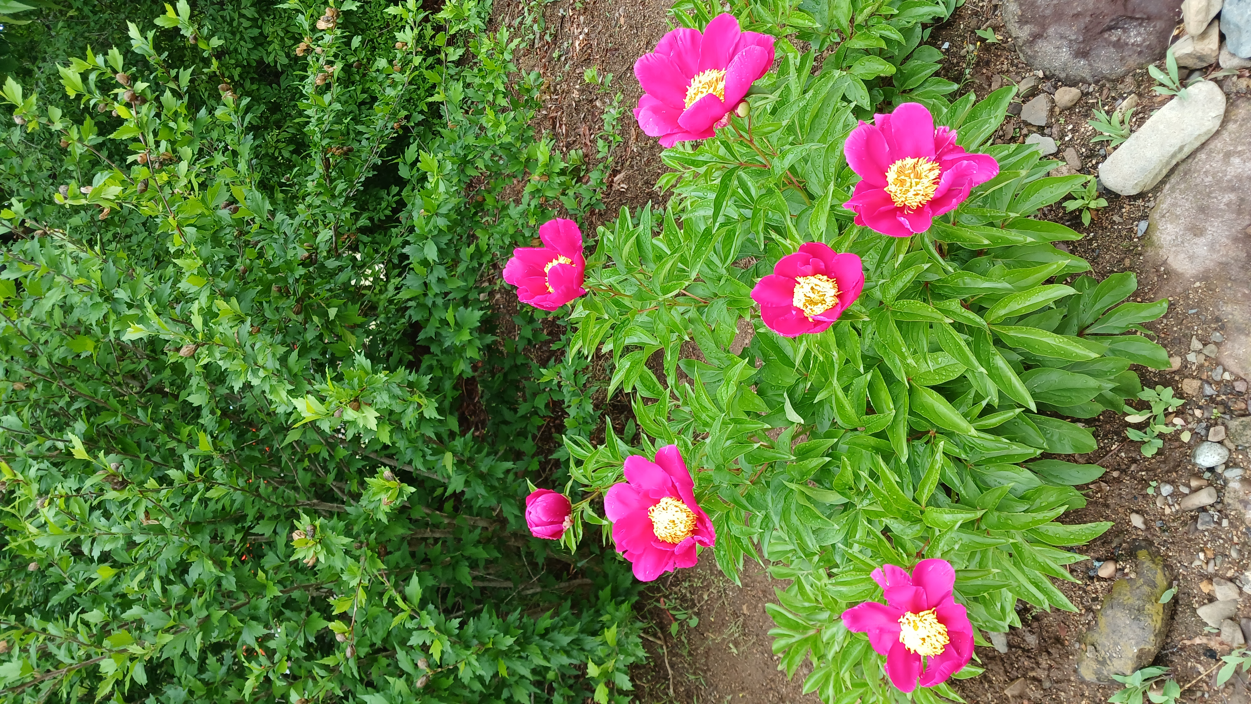 사진5