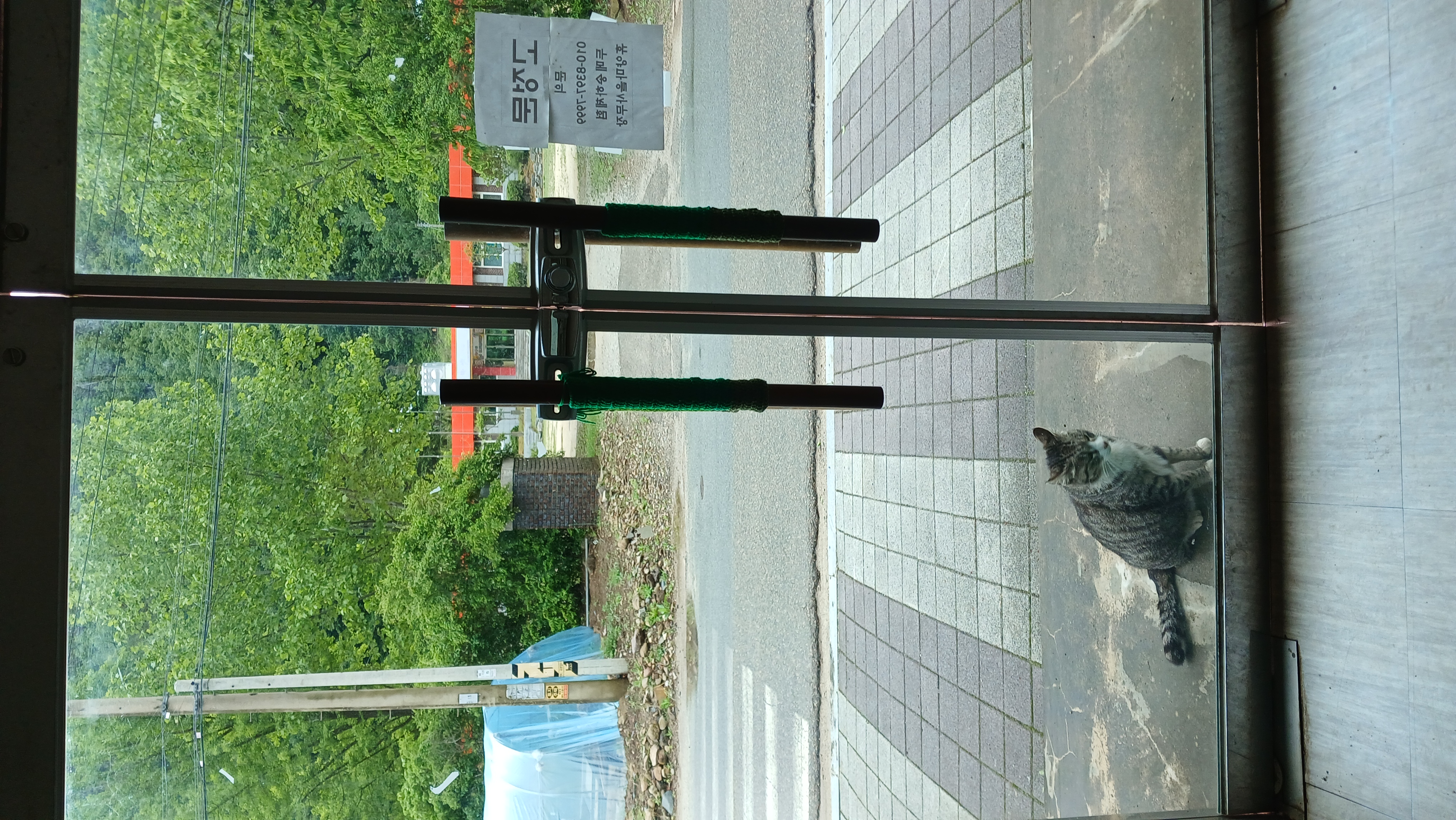사진3