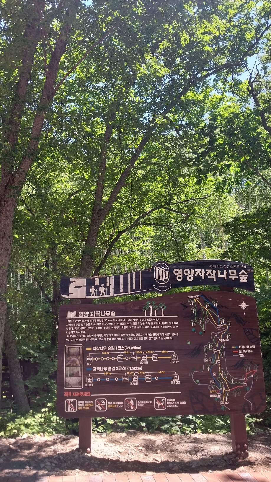 사진1
