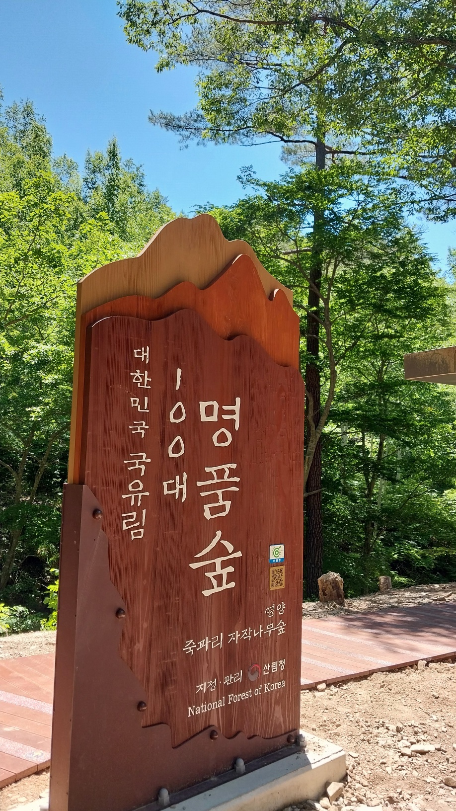 사진2
