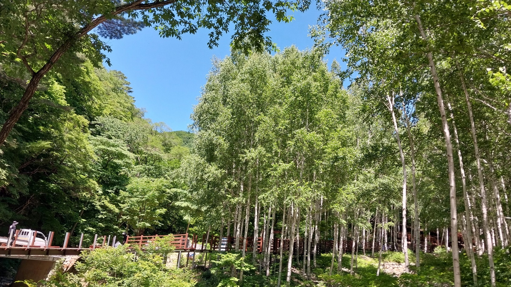사진5