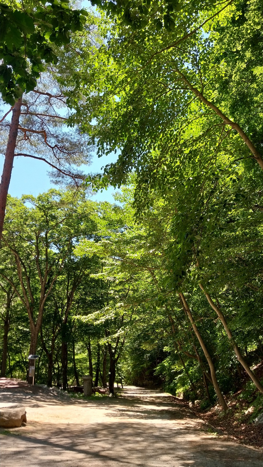 사진8