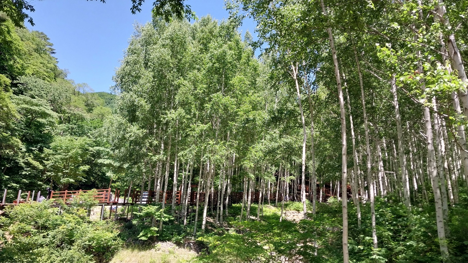사진9