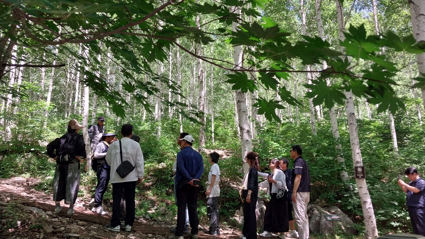 사진1