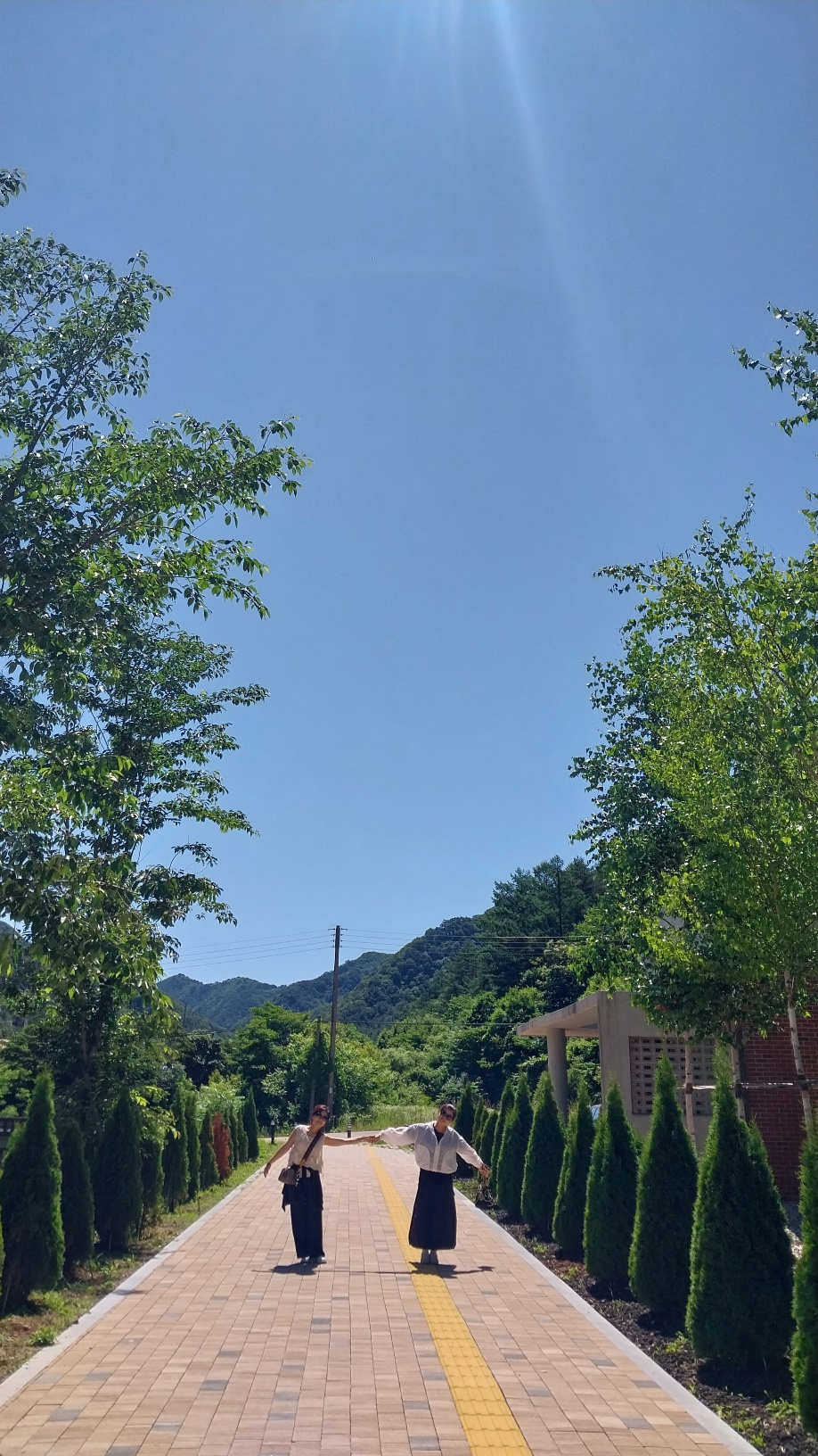 사진6