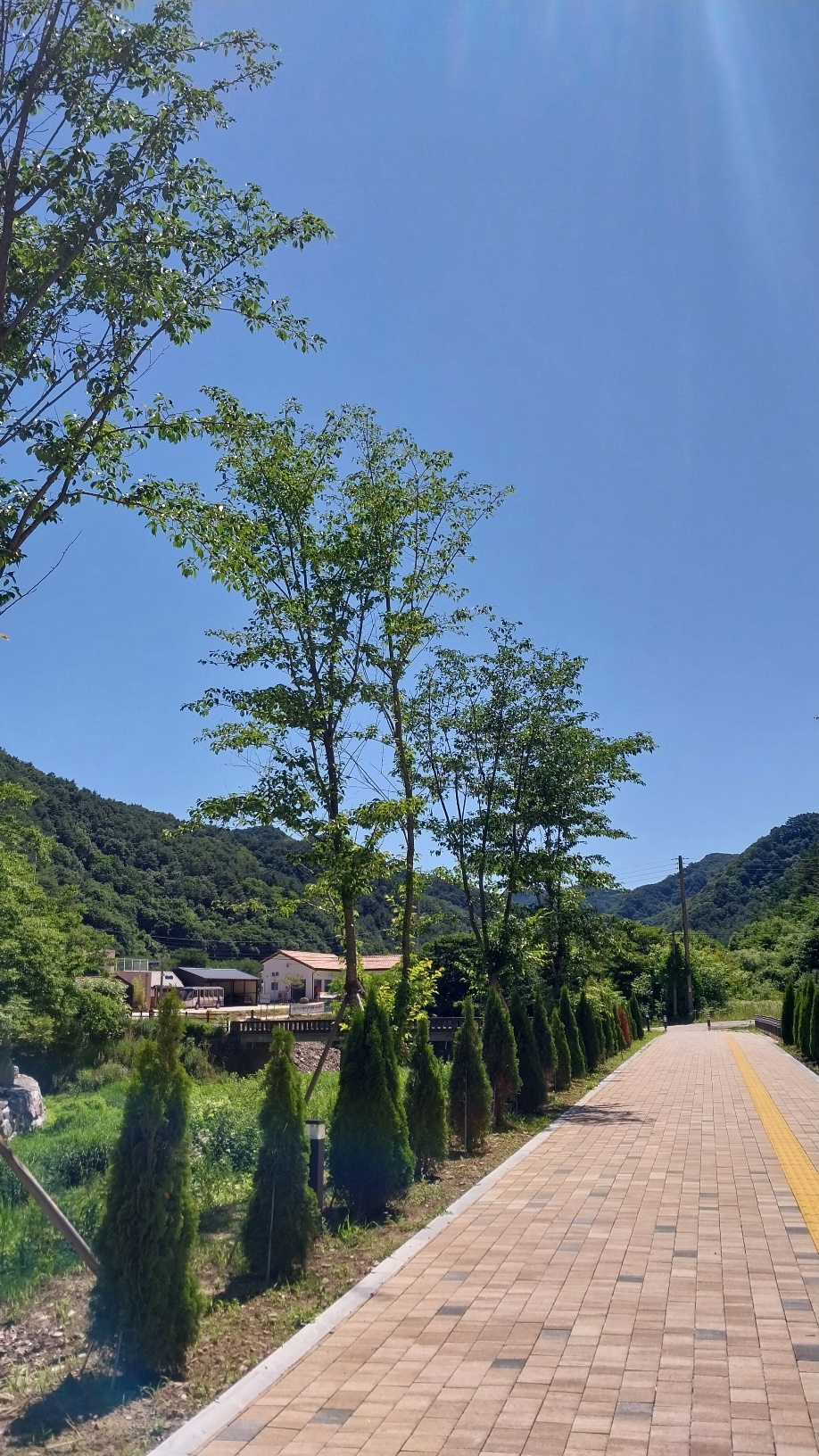 사진7